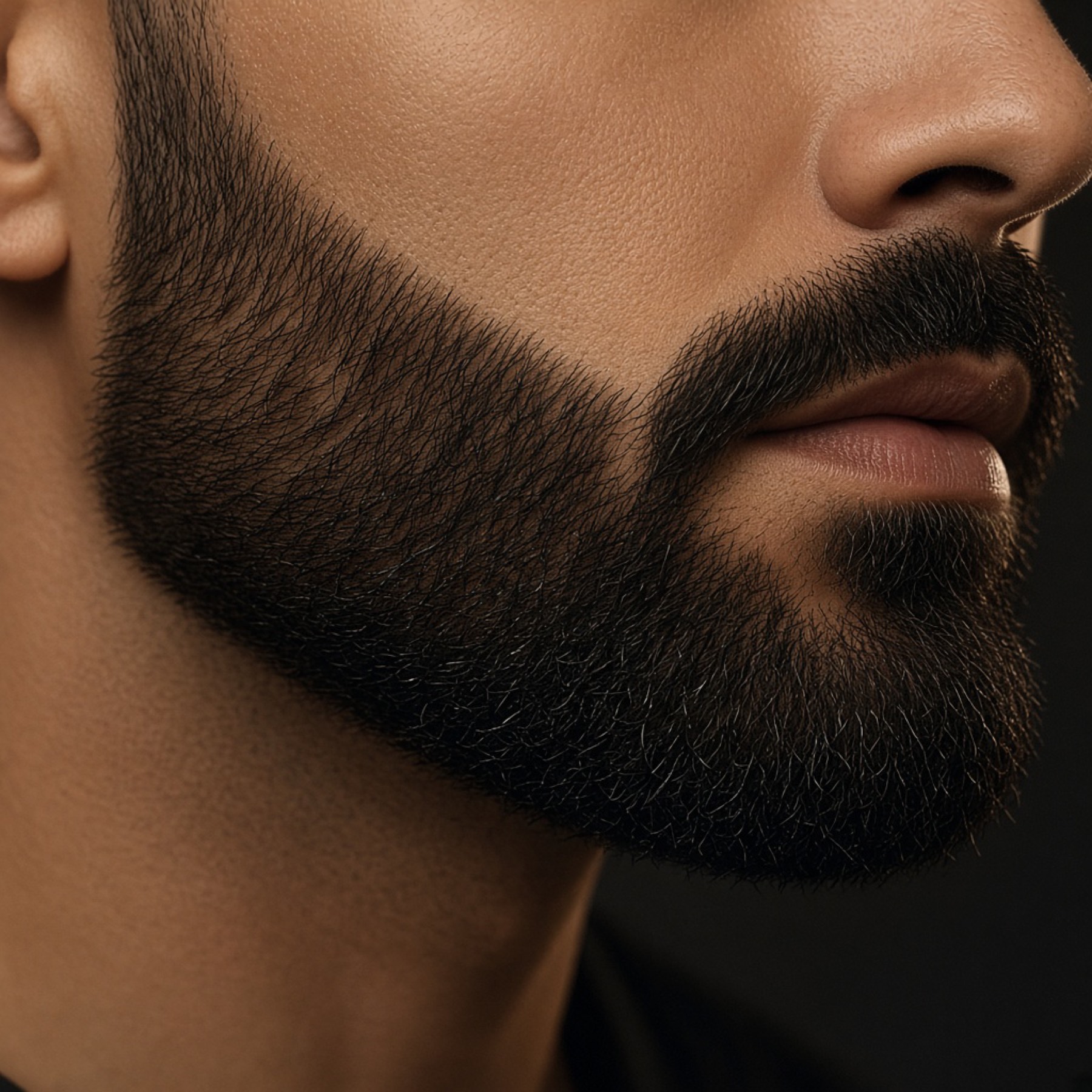Sample close-up of a precisely lined beard